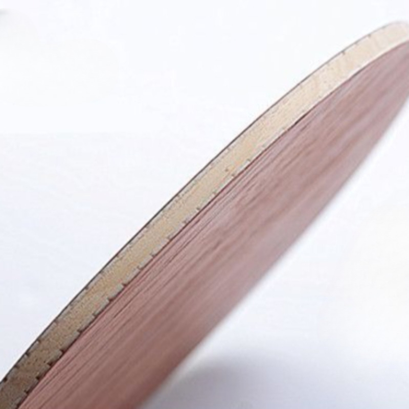 Raket Tenis Meja Profesional,  - Table Tennis Racket ulasan dan harga