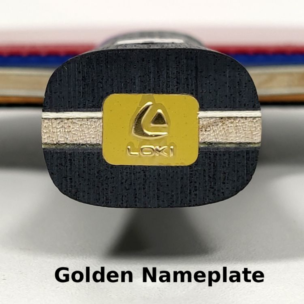 Raket Tenis Meja Profesional L - Table Tennis Zhang Jike ulasan dan harga